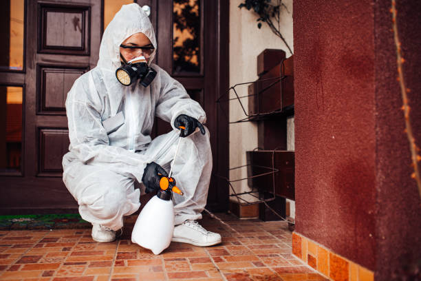 Attic and Crawl Space Rodent Treatment in Halesite