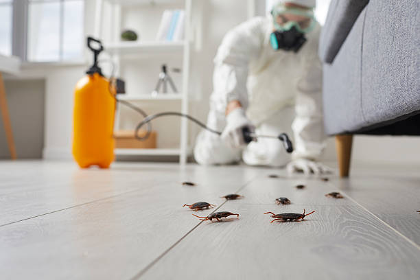 Commercial Rodent Management in Halesite